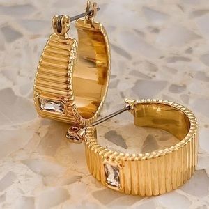✨🤩 Luv AJ The Francois Gold Plated Hoops with Crystal ✨💛✨